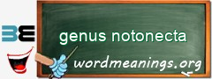 WordMeaning blackboard for genus notonecta